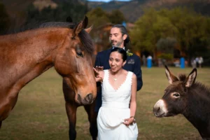 Novios posando junto a caballos en una finca durante su sesión de fotos de boda.